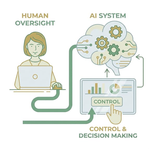 Human oversight, AI system, and control and decision-making in a feedback loop